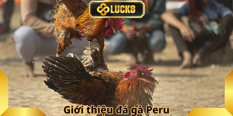 gioi-thieu-ve-da-ga-peru